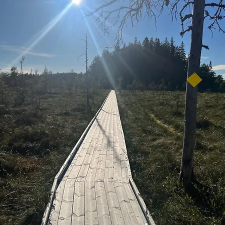 Moekki Ja Saunamoekki Kurjenrahkan Kansallispuistossa * Poytya