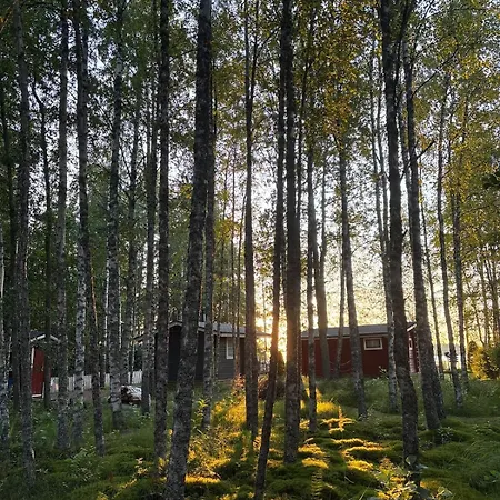 Moekki Ja Saunamoekki Kurjenrahkan Kansallispuistossa Appartement