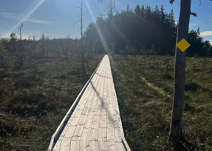 Moekki Ja Saunamoekki Kurjenrahkan Kansallispuistossa * Poytya