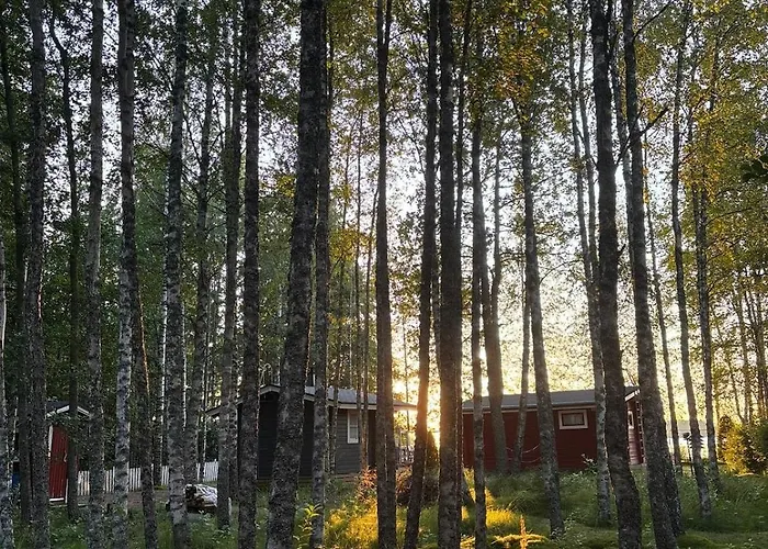 Moekki Ja Saunamoekki Kurjenrahkan Kansallispuistossa Διαμέρισμα